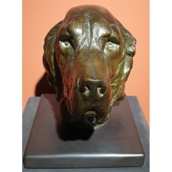 Tête de Setter - Georges GUYOT (1885 - 1973)