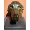 Tête de Setter - Georges GUYOT (1885 - 1973)